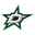 Dallas Stars logo